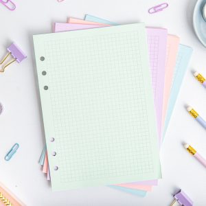 Inserție colorată pentru organizatorul A5 – Pagini cu pătrățele